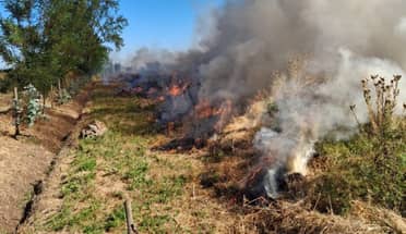 Formalizan a hombre que impidió acceso a bomberos para apagar incendio en Teno