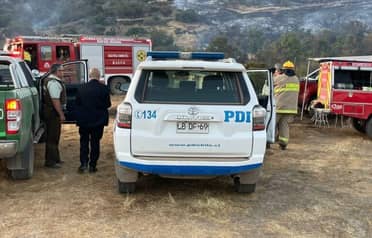 Incendio forestal "El Parrón" en Rauco deja pérdidas en colmenas y animales