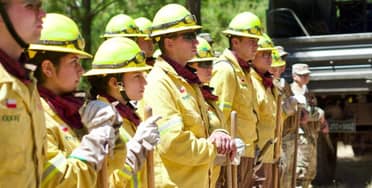 Incendio forestal en Villa Baviera contenido tras consumir más de 52 hectáreas