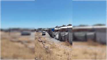 Fosas sépticas destapadas generan foco de contaminación en toma Dragones Sur de Curicó