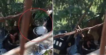 Brutal agresión de guardias municipales en Viña del Mar: video revela violencia desmedida