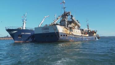 Diputados impulsan comisión investigadora por desaparición de pescadores en Constitución