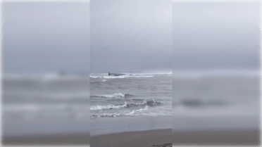 Pescadores artesanales salvan de milagro tras volcamiento de embarcación en Bucalemu