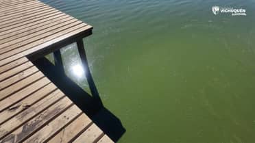 Proliferación de alga tóxica amenaza el Lago Vichuquén y pone en alerta a vecinos