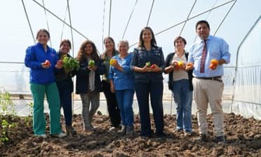 Ministra (s) de Agricultura y alcaldesa de Rauco entregan invernaderos a productoras locales