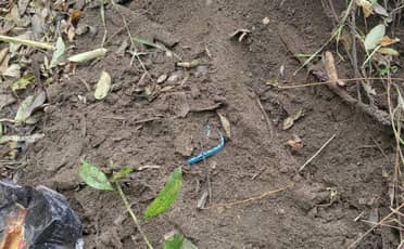 PDI recupera especies tras robo con violencia en San Javier: celular robado fue hallado enterrado