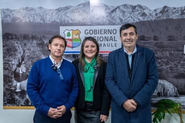 Histórico avance para Rauco: CORE aprueba su Plan Regulador Comunal tras décadas de espera