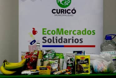 Fosis y municipio de Curicó inauguraron EcoMercado Solidario