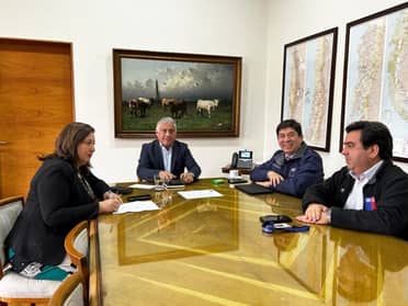 Senadora Vodanovic confirmó licitación de estudio para doble vía en “Ruta de la Muerte”