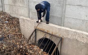 Equipos municipales de Curicó hacen limpieza de canales en todo Curicó antes de las lluvias