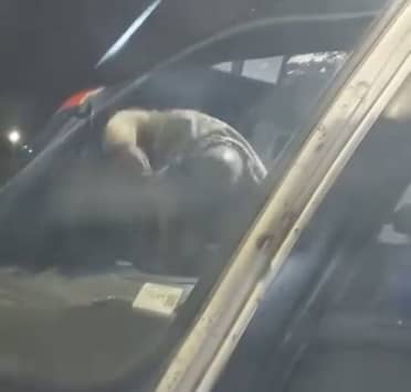 Pelea entre conductores genera preocupación por la seguridad de los pasajeros