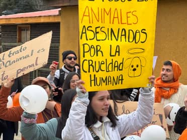 Chanco alza la voz por el bienestar animal en masiva marcha