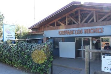 Funcionarios del Cesfam Los Niches fueron atacados con armas blancas por usuarios