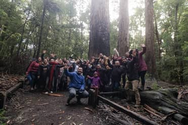 Reserva Nacional Laguna Torca celebra su 40° aniversario con un trekking nocturno gratuito