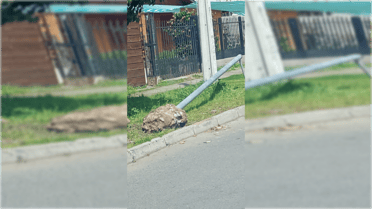 Vandalismo a cámaras de seguridad preocupa a vecinos y autoridades de Curicó