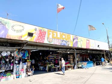 Felicur pagará prótesis dental de locataria que cayó al interior del recinto