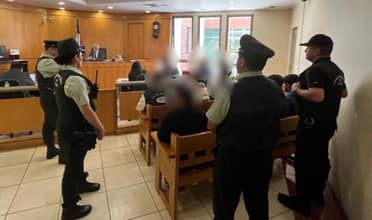 Golpe al crimen organizado: PDI desarticula banda que asaltó plantación autorizada de cannabis sativa en Pelarco