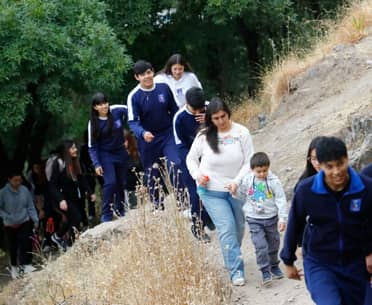 Conmemoran el Día Internacional de la Eliminación de la Violencia contra la Mujer en Curicó