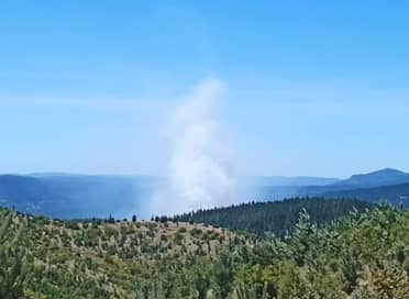 Alerta amarilla en Curepto por incendio forestal