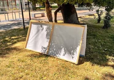 Municipalidad de Curicó hace un llamado a los candidatos a donar palomas en desuso