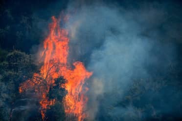 Incendio en Pichidegua: Menores de edad provocaron siniestro jugando con encendedor