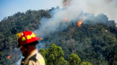 Ataque a Bomberos en Maule genera indignación tras daños a camión y agresión a voluntarios
