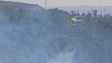 Maule bajo Alerta Roja: Termómetros podrían escalar hasta los 37°C y autoridades llaman a "Fuego Cero"