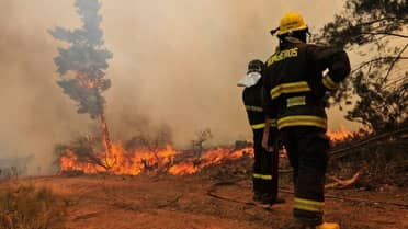 Entel activa programa “primera respuesta” para asegurar conectividad ante incendios en el Maule