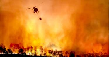 Hombre detenido por incendio forestal en Maule queda en libertad al no haber antecedentes suficientes