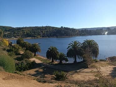 Pese a contaminación: Consejo Regional fija acceso turístico a la playa Las Sirenas del Lago Vichuquén