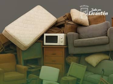 Municipio de Licantén realizará operativo de retiro de cachureos