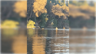 Pescadores deportivos denuncian uso de redes de arrastre en el Río Mataquito