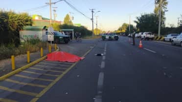 Tragedia en Los Niches: Adulto mayor fallece tras colisión con minibús de temporeros en la Ruta J-65