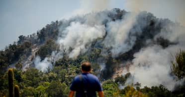 Alerta Roja en Machalí por incendio forestal con riesgo para reserva natural