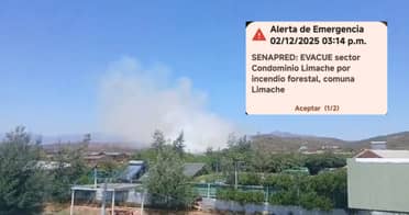 Senapred ordena evacuación en Limache por incendio forestal