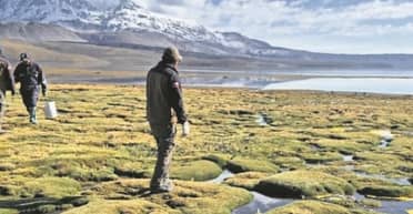 Dos imputados por derrame de aceite en el lago Chungará