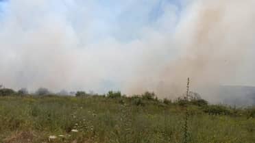 Incendio forestal afecta a paneles solares en Romeral: Equipos aéreos y terrestres trabajan en el lugar