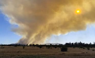 Incendios forestales azotan la región del Maule: Alerta SAE y despliegue aéreo masivo para combatir siniestros en Maule y Linares