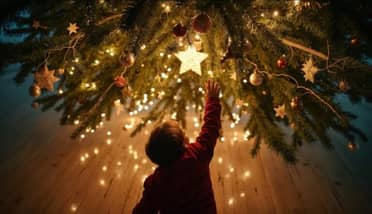 Cementerio Municipal de Curicó invita a la "Noche Iluminada de Navidad"