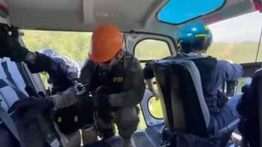 Curicó: PDI incauta más de 9 mil plantas de cannabis tras masivo operativo