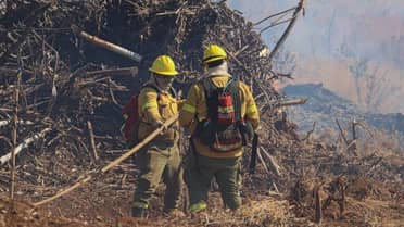 Balance de incendios en Curicó: 94 siniestros y 270 hectáreas afectadas en lo que va de temporada