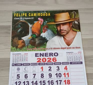 Revisa la lista de los 16 feriados del año 2026 en Chile