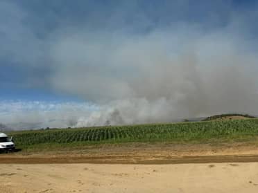 Emergencia en el Maule: Declaran Alerta Roja en Curepto por incendio forestal "Los Zorrillos" que amenaza viviendas