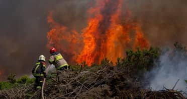 Estudio de 2020 identificó regiones chilenas con mayor riesgo de incendios forestales