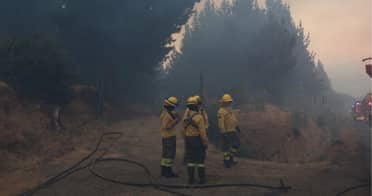 Dos detenidos por su presunta responsabilidad en inicio de focos de incendio en Pencahue y Teno