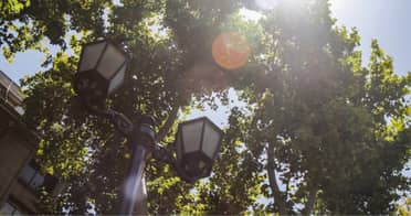 Decretan Alerta Amarilla en el Maule por ola de calor extremo y alto riesgo de incendios