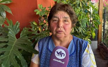 "Me lo arrebató": Vecina de Los Niches relata muerte de su perro tras ataque