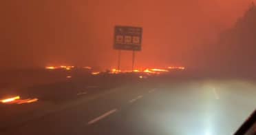 Gobierno decreta estado de catástrofe en Biobío y Ñuble por incendios forestales