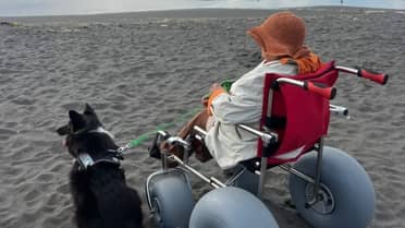 Licantén rompe barreras: Iloca se transforma en la primera playa inclusiva del Maule con sillas anfibias