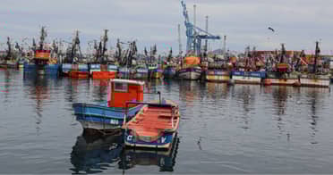 Pesca artesanal advierte aumento de incertidumbre frente al retiro de la nueva Ley de Pesca